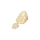 Coronitas de policarbonato temporarias x unidad. MD Swe Dent